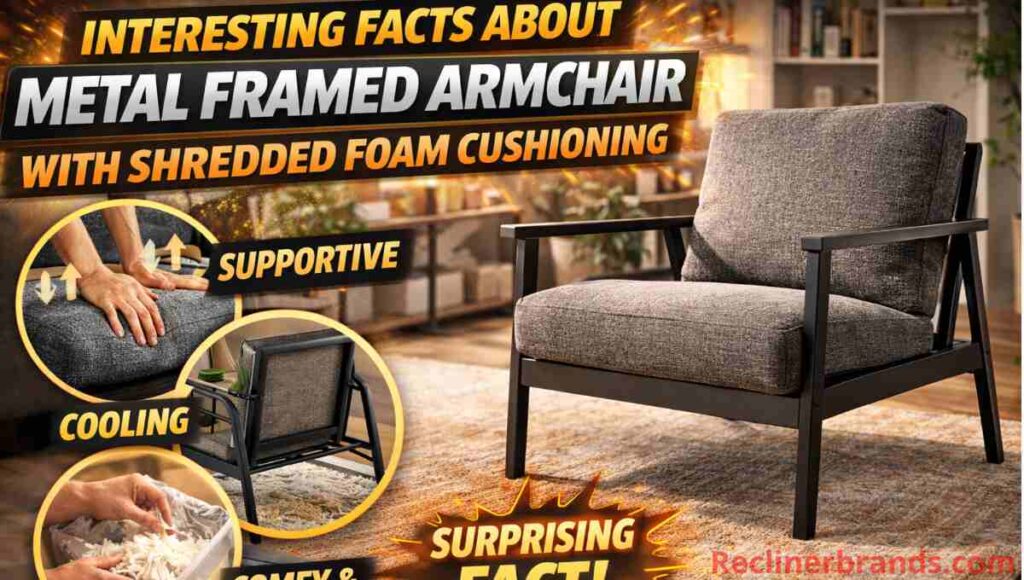 interesting facts about metal framed armchair with shredded foam cushioning